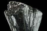 Lustrous Ilvaite Crystal Cluster with Quartz - Inner Mongolia #173099-2